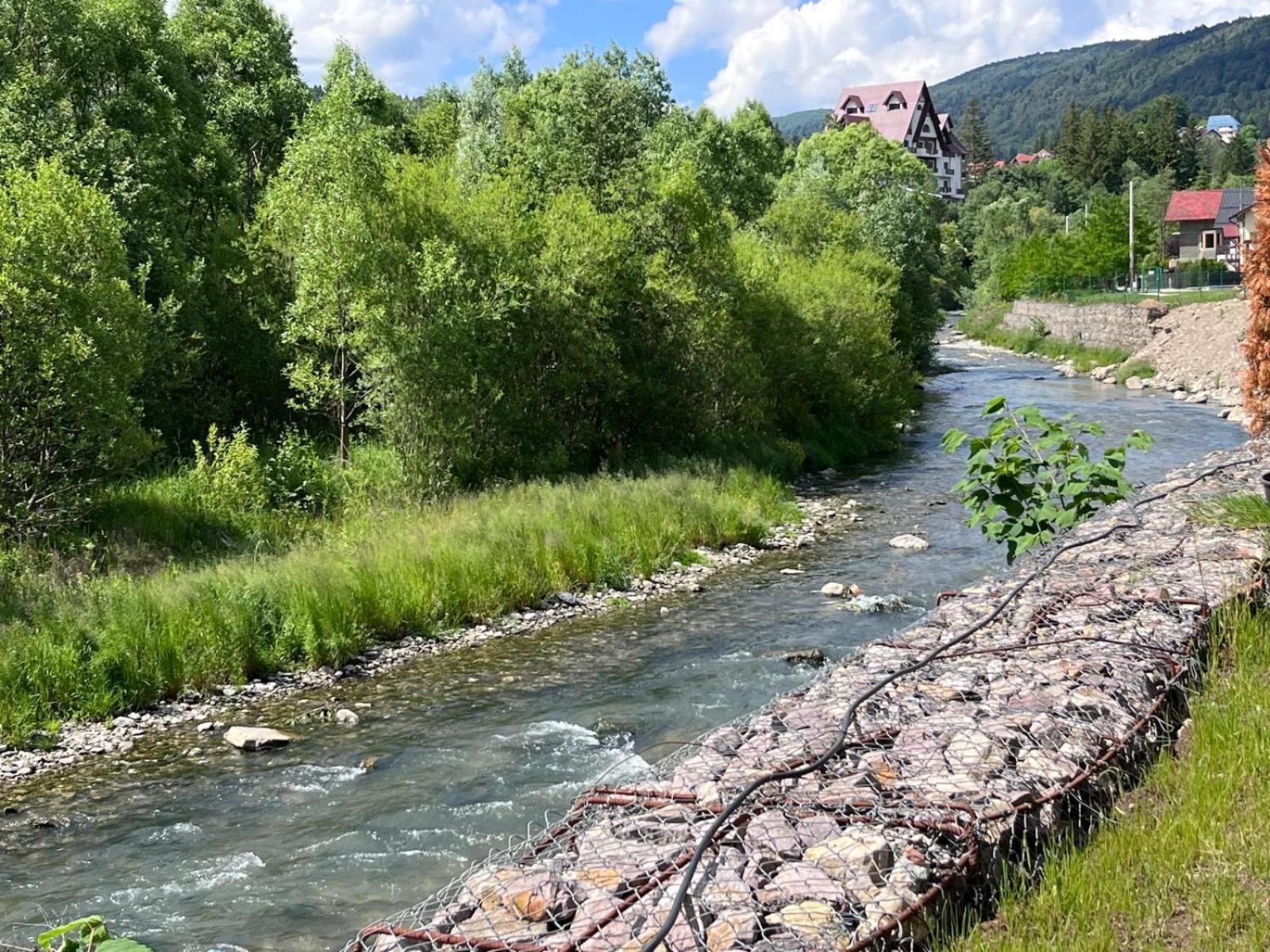 Cozy Riverfront Apartments With Garden And Mountain View Buşteni Exterior foto